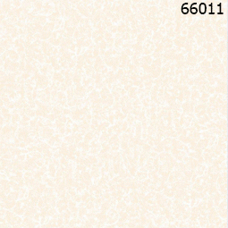 Gạch lát nền TTC 60×60 FB 66011
