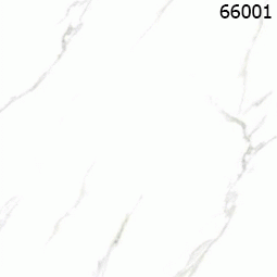 Gạch lát nền TTC 60×60 FSG 66001